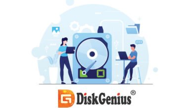 DiskGenius Pro İndir