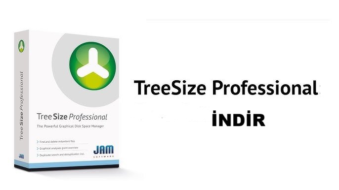 Treesize Professional İndir