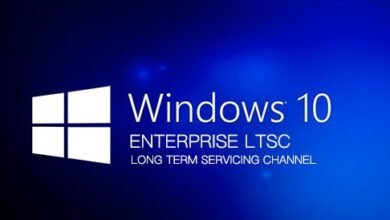 Windows 10 Enterprise LTSC İndir