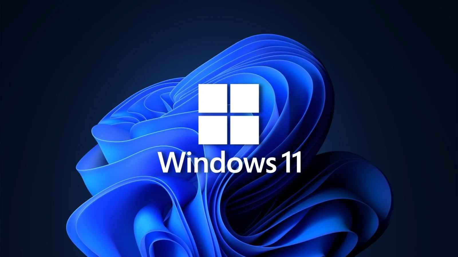 Windows 11 Pro İndir