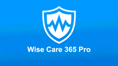 Wise Care 365 Pro 2026 İndir