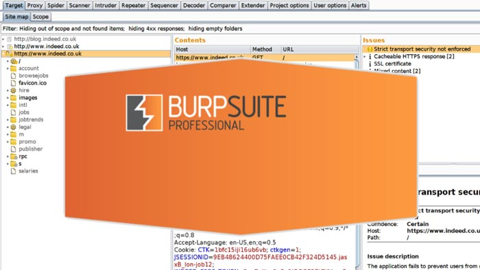 burp suite professional 2026 full indir
