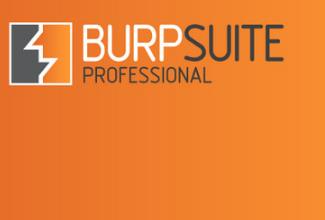 burp suite professional 2026 indir