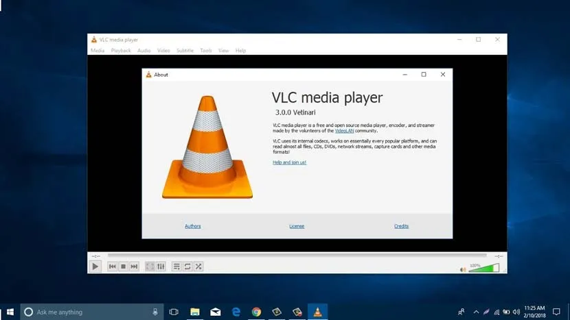 VLC Media Player Full indir